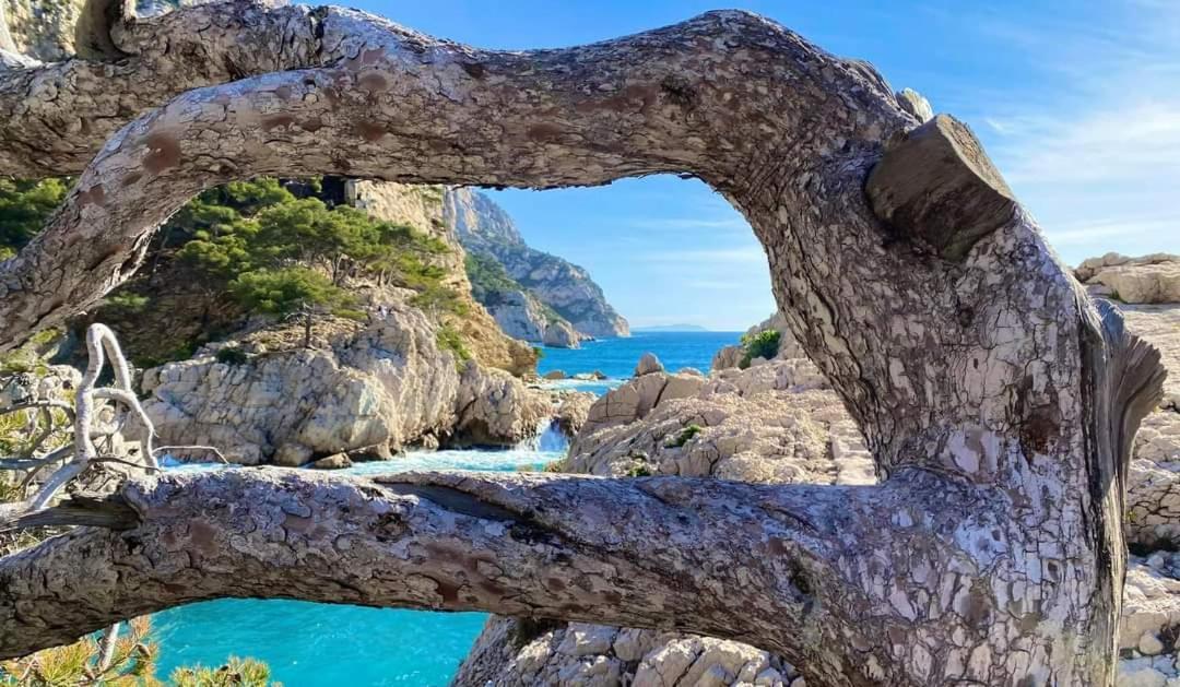 Mon Petit Paradis, Cassis Centre Apt 90 M2, 200 M Mer, Terr Plein Sud, Clim Park Prive Екстериор снимка